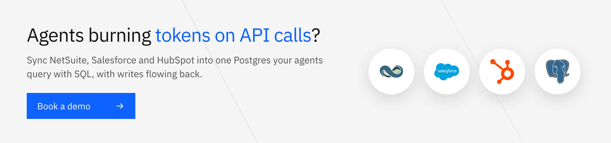 Book a demo: sync NetSuite, Salesforce and HubSpot into one Postgres database your AI agents query with SQL